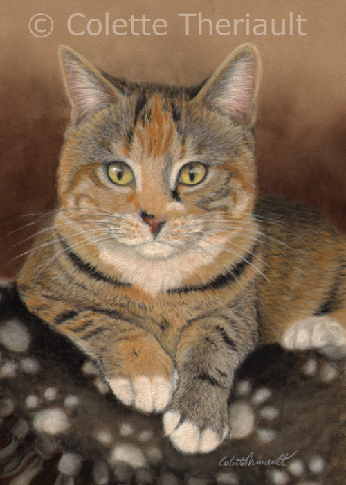 Calico Tabby cat painting by Colette Theriault