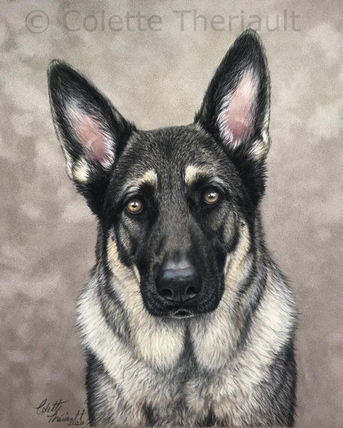 GSD portrait by Colette Theriault