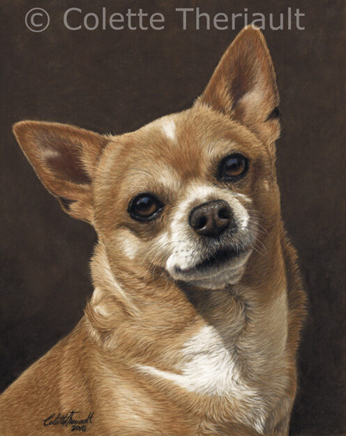 Chihuahua dog painting by Colette Theriault