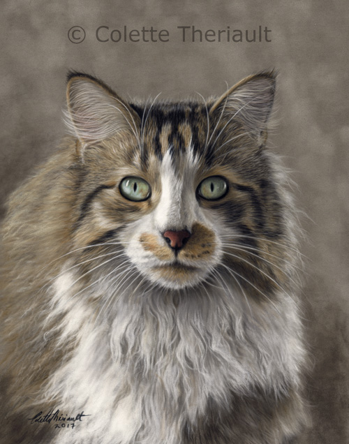 Long Haired Tabby cat portrait by Colette Theriault