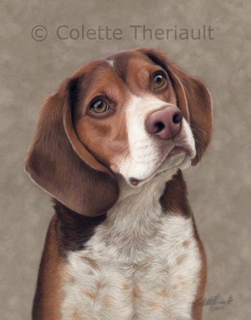 Beagle mix pet painting by Colette Theriault