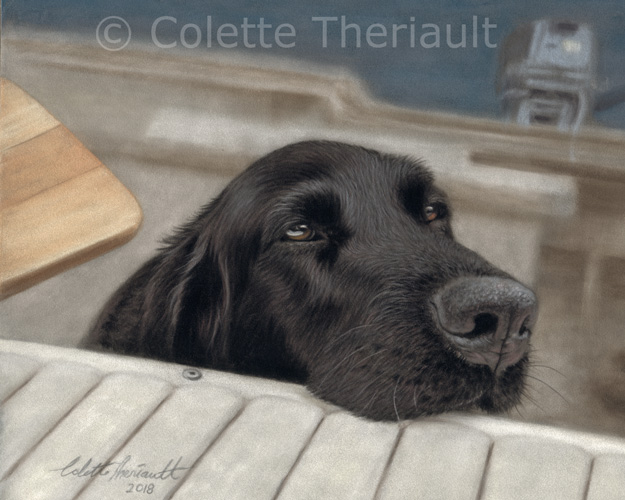 Black Labrador Retriever pet portrait by Colette Theriault