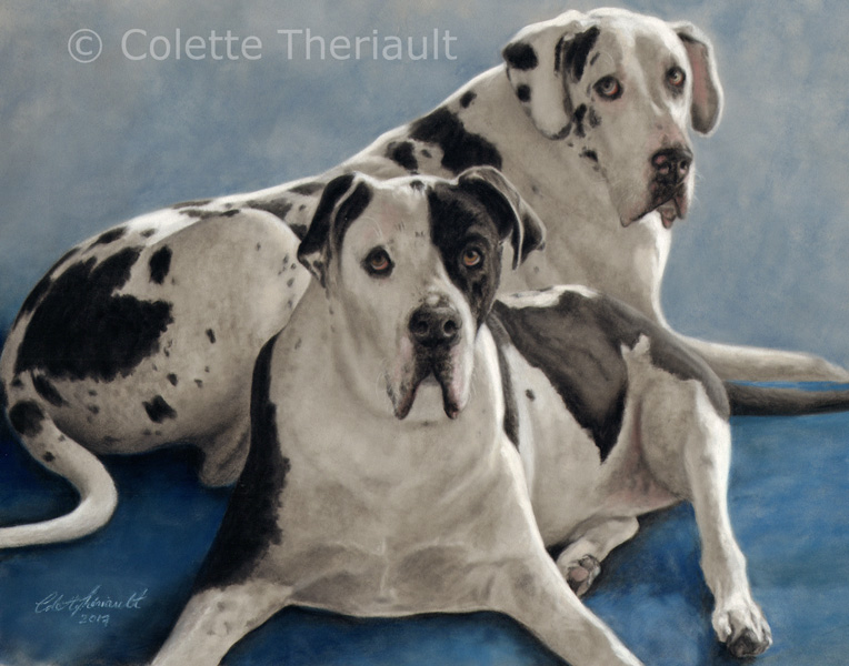 Great Dane pet portrait by Colette Theriault