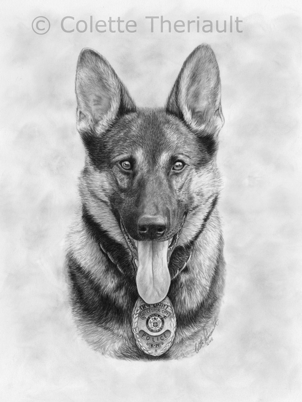 Police k9 dog portrait by Colette Theriault