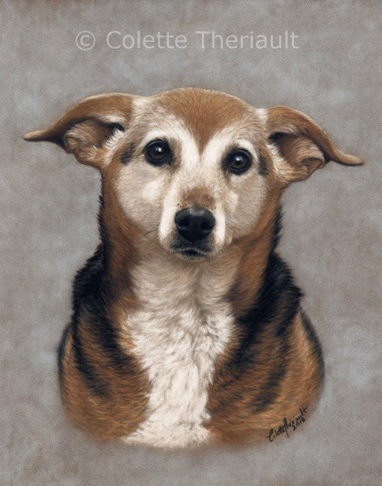 Beagle mix pet portrait by Colette Theriault