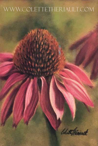 Echinacea Flower Painting by Colette Theriault