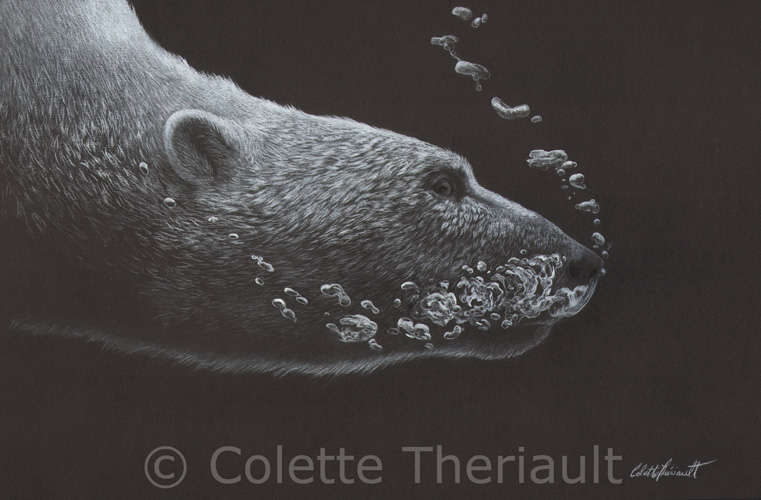 Diving polar bear wildlife painting by Colette Theriault