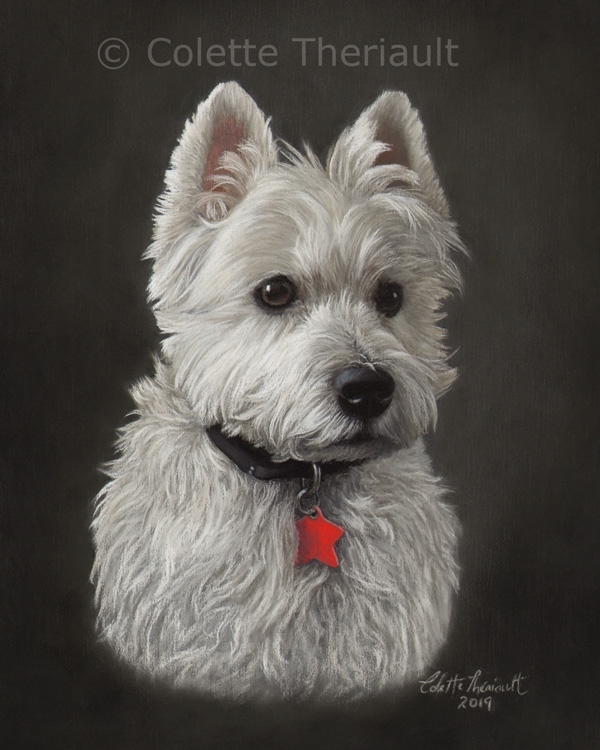 West Highland Terrier painting by Colette Theriault