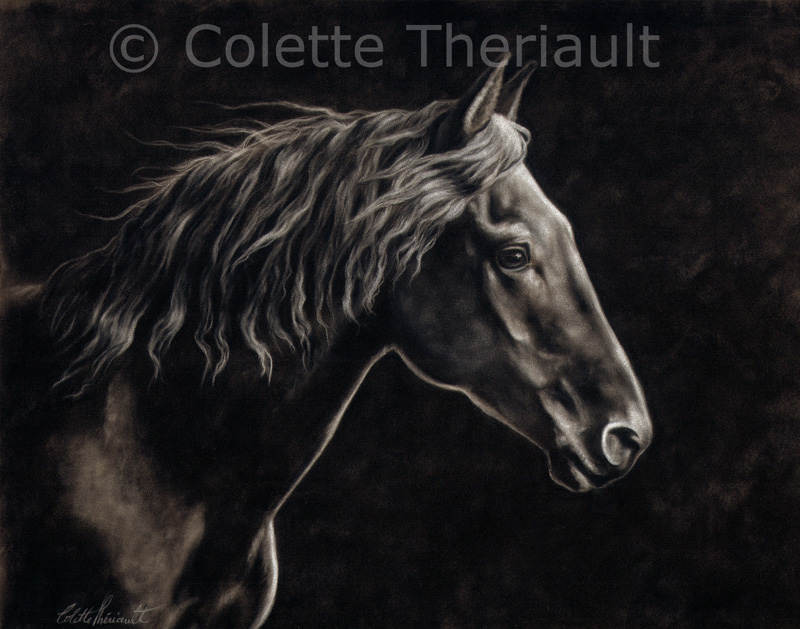 Paso Fino horse painting by Colette Theriault
