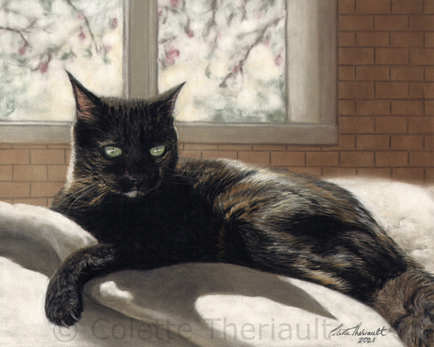 Black calico cat pet painting by Colette Theriault
