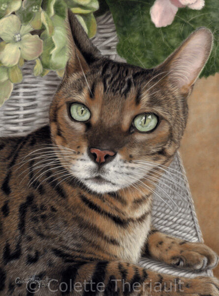 Bengal Cat painting by Colette Theriault