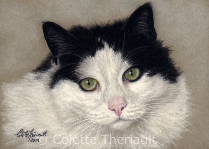 Bicolor cat painting by Colette Theriault