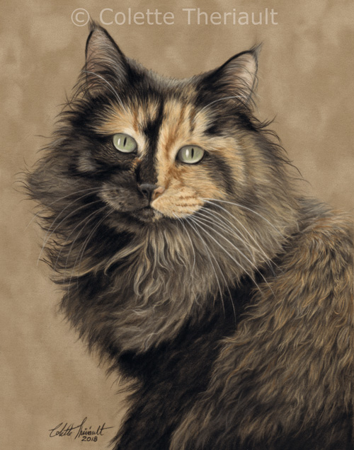 Calico cat pet portrait by Colette Theriault