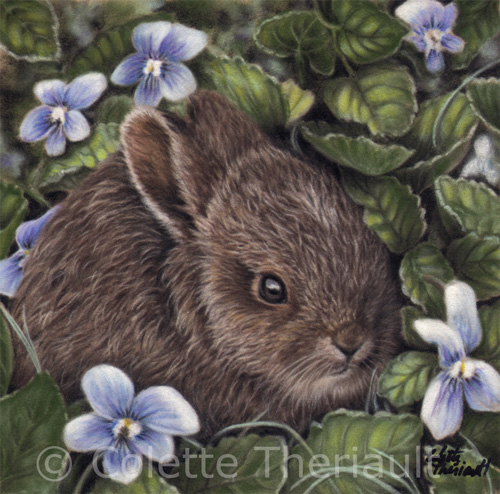 Baby bunny hare leveret wildlife painting by Colette Theriault
