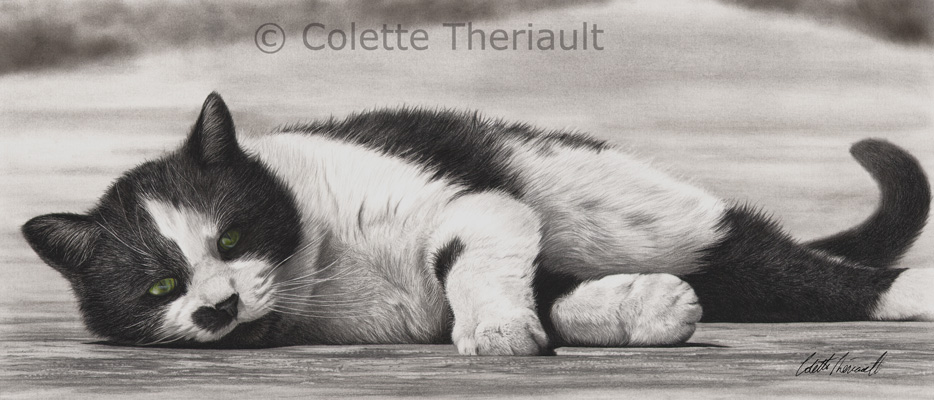 Tuxedo cat hyper-realism drawing by Colette Theriault