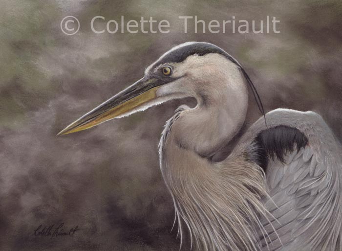 Great Blue Heron bird painting by Colette Theriault