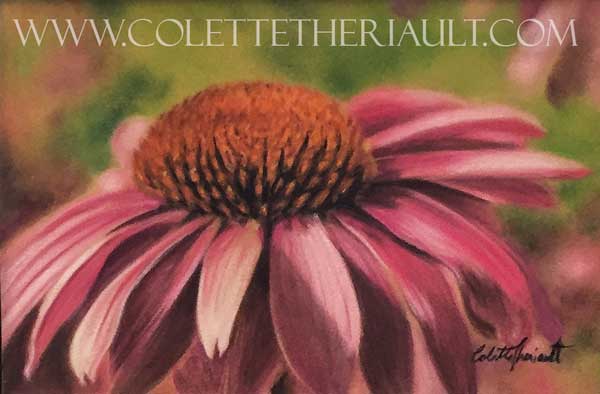 Purple Coneflower Painting by Colette Theriault
