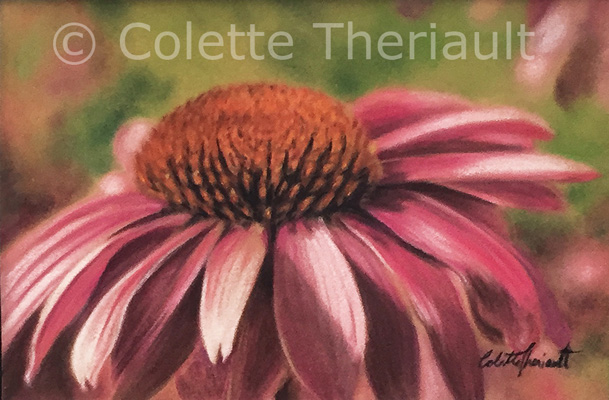 Purple coneflower floral painting by Colette Theriault