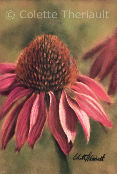 Pink Echinacea floral painting by Colette Theriault