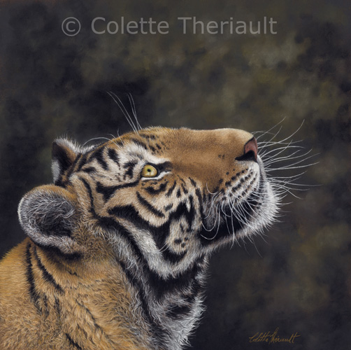 Endangered Siberian tiger painting by Colette Theriault
